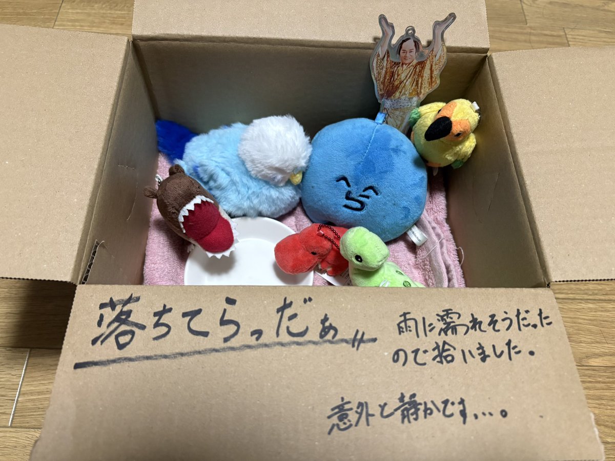 hanabi08IV's tweet photo. @takeda20435342 保護主です。
今は友達増えて賑やかです。 https://t.co/WFeBsfhn0Q