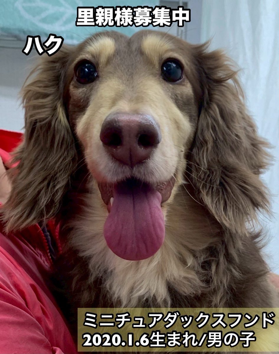 NPO法人LoveFive tweet media