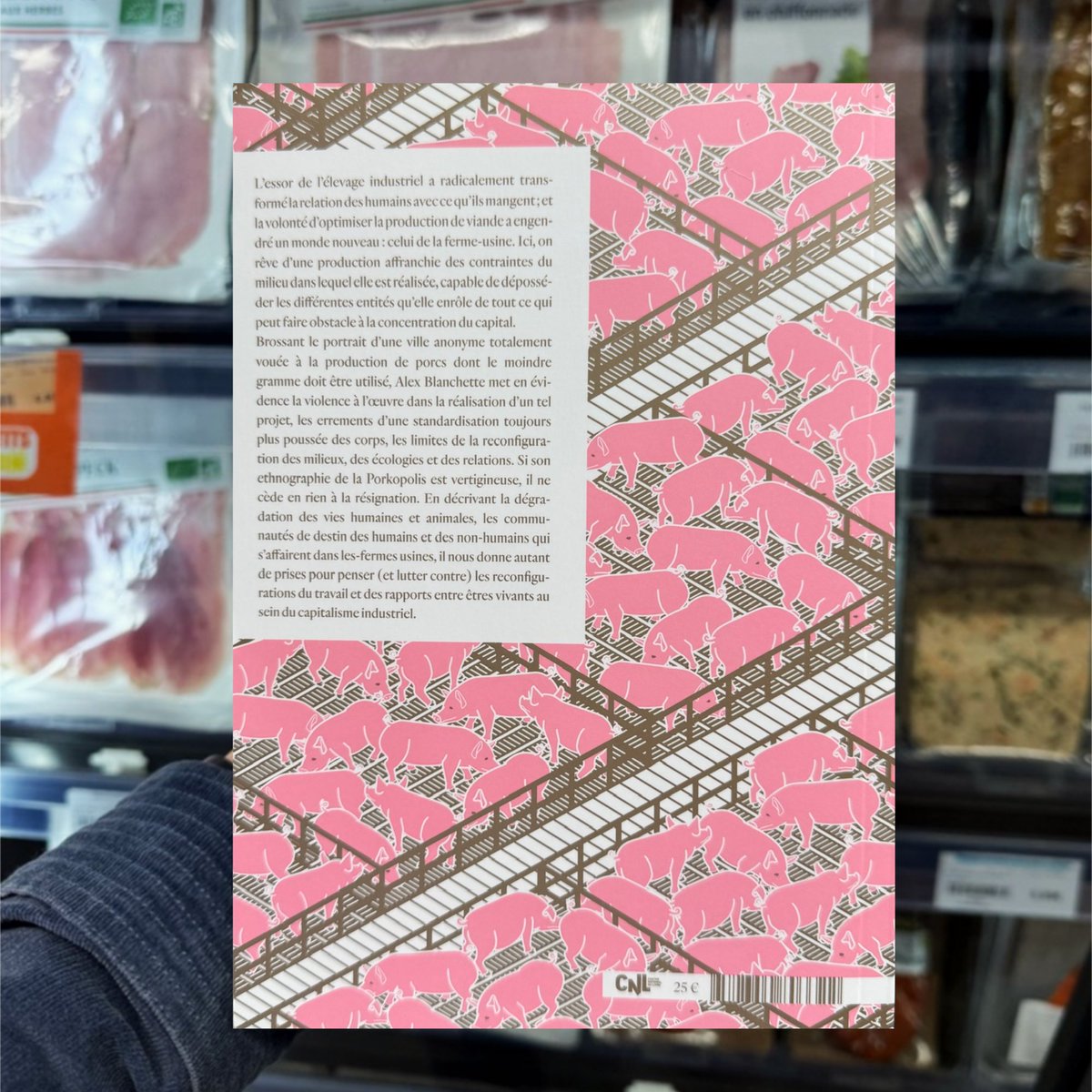 À retrouver dans toutes les librairies depuis le 6 mars ! 🤩

🐖🏘️ Porkopolis. La vie standardisée à l’ère des fermes-usines, d’Alex Blanchette

❤️‍🔥 Traduit par Valentine Leÿs
💌 Préfacé par François Thoreau
🔬 Collection Savoirs Situés

💸🔗 placedeslibraires.fr/livre/97823548…