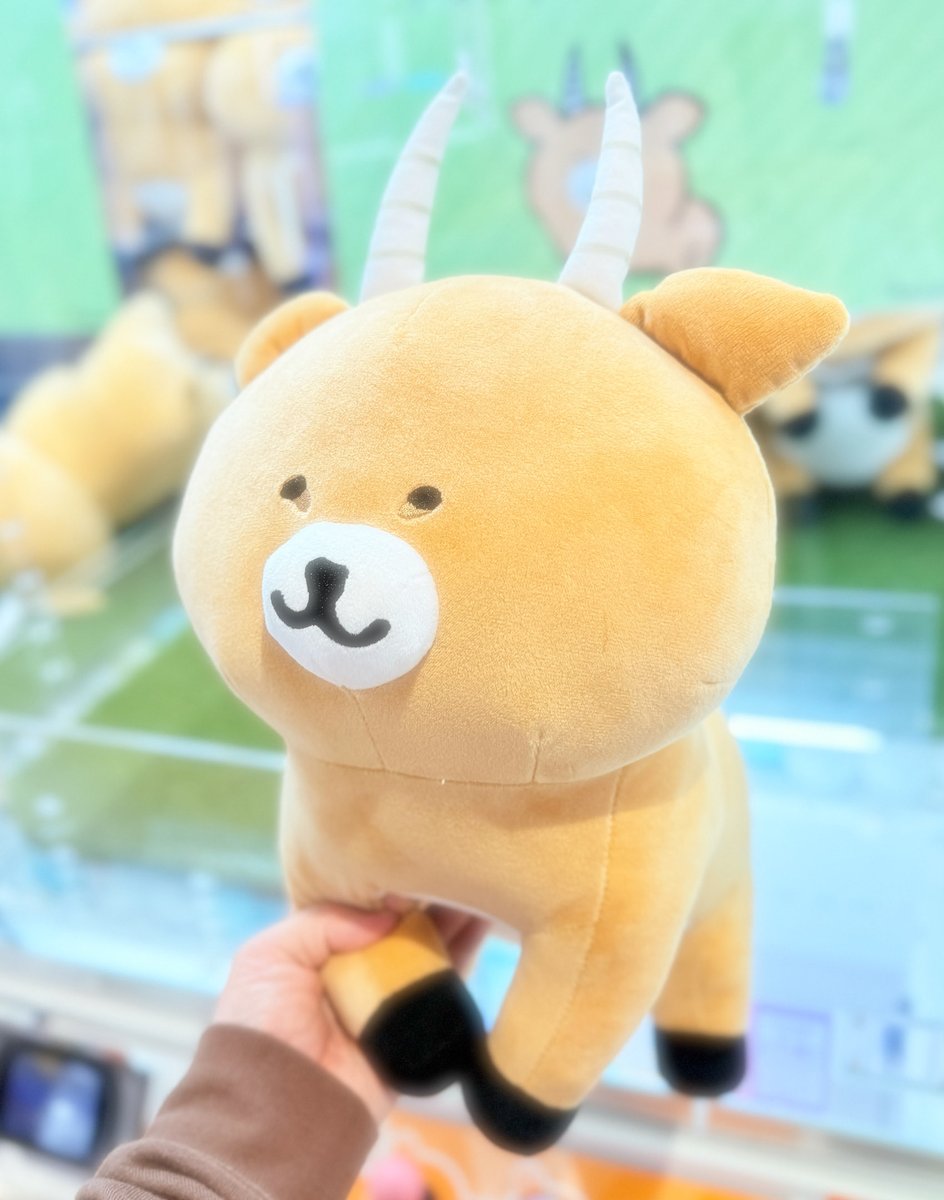 ちいかつ50↑ (@chiikatsuaka) / Posts / X