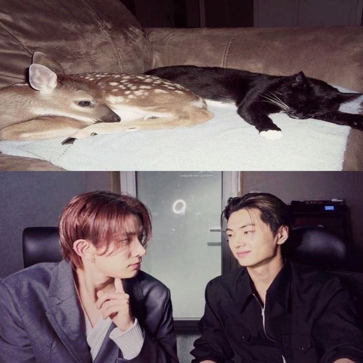 audrey 🪽 tweet media