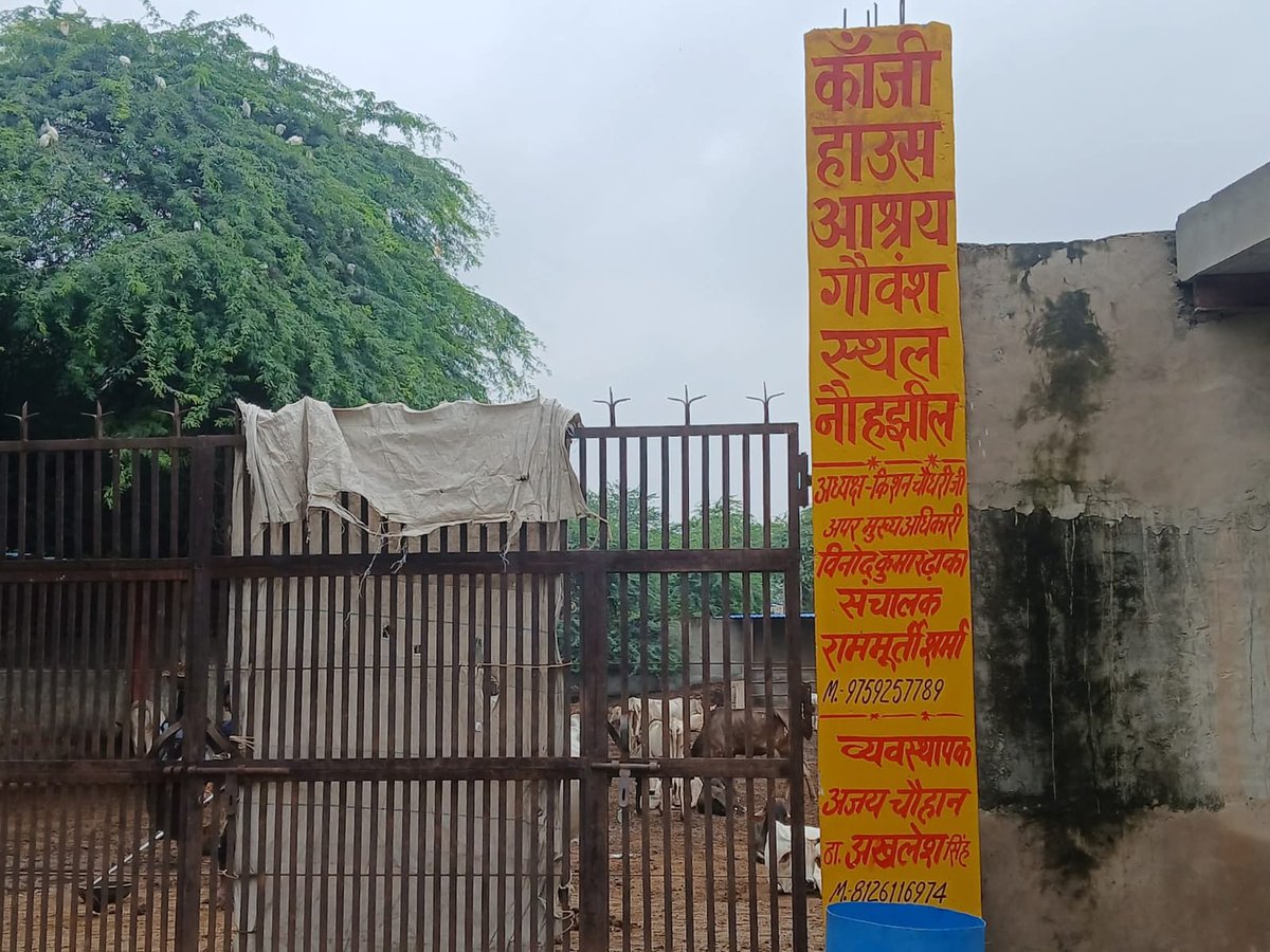 Arjun kumar tweet media