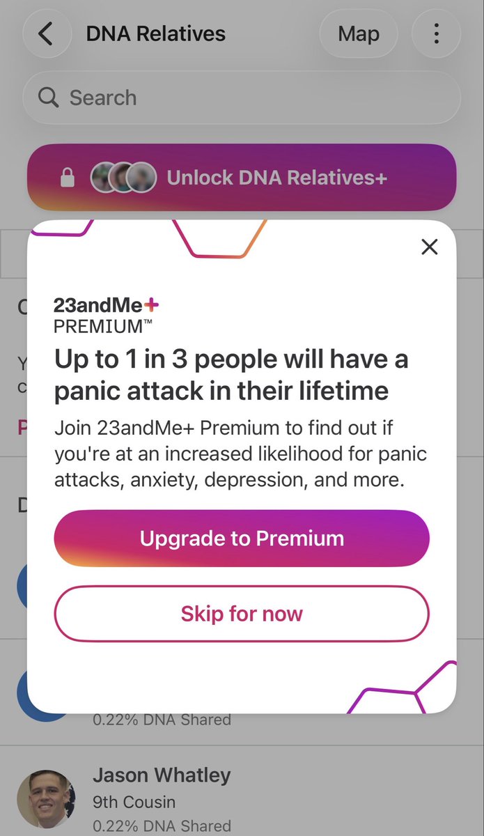 Maddison Fox tweet media