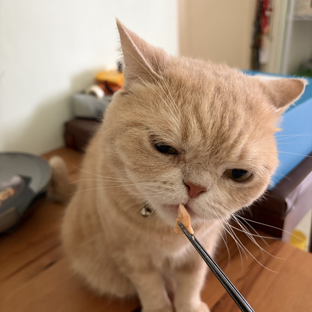 sAndra Shen tweet media