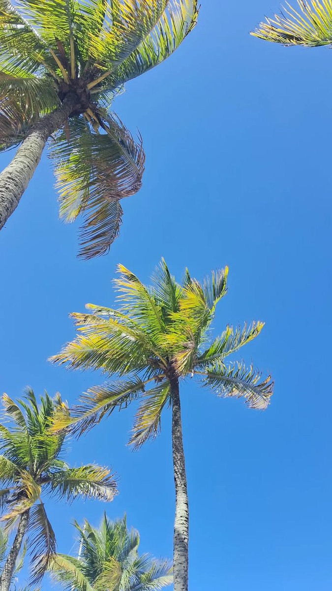 hoje me deu saudade do verão