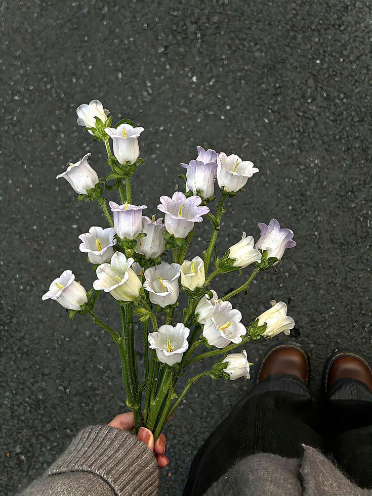 𝑓𝑙𝑜𝑟𝑎 tweet media