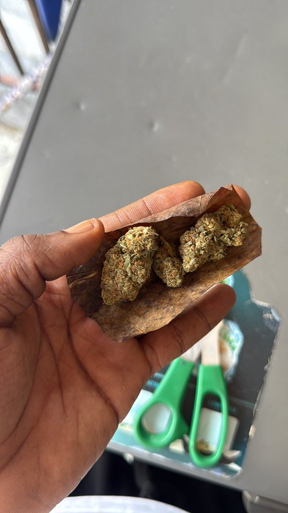 HARD BRAIN 🧠 STRAIN 🌳 tweet media