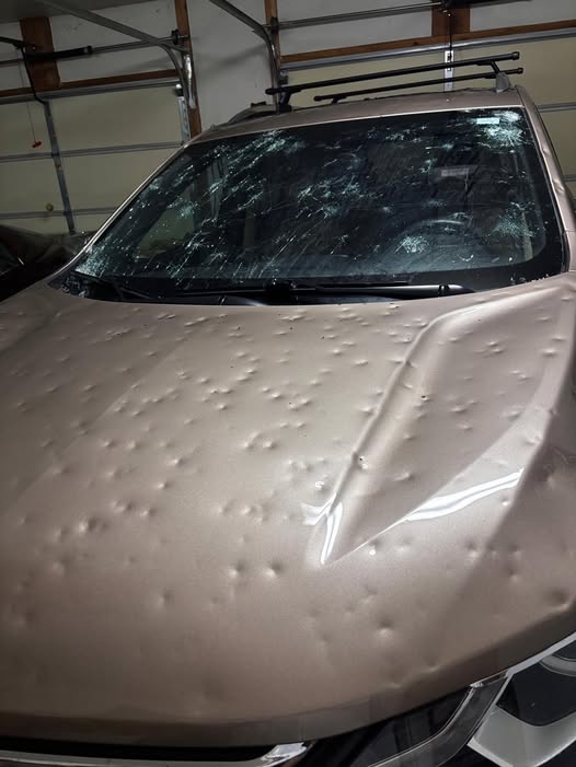 "Honey, did you put the car in the garage?".....ahh, yeah, sure did honey"  (Westby, Wisconsin~~Susan Demmer Gesslein)