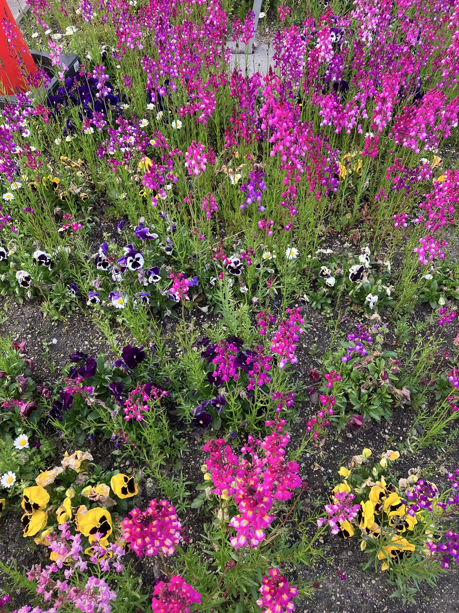 ひさ☆ tweet media