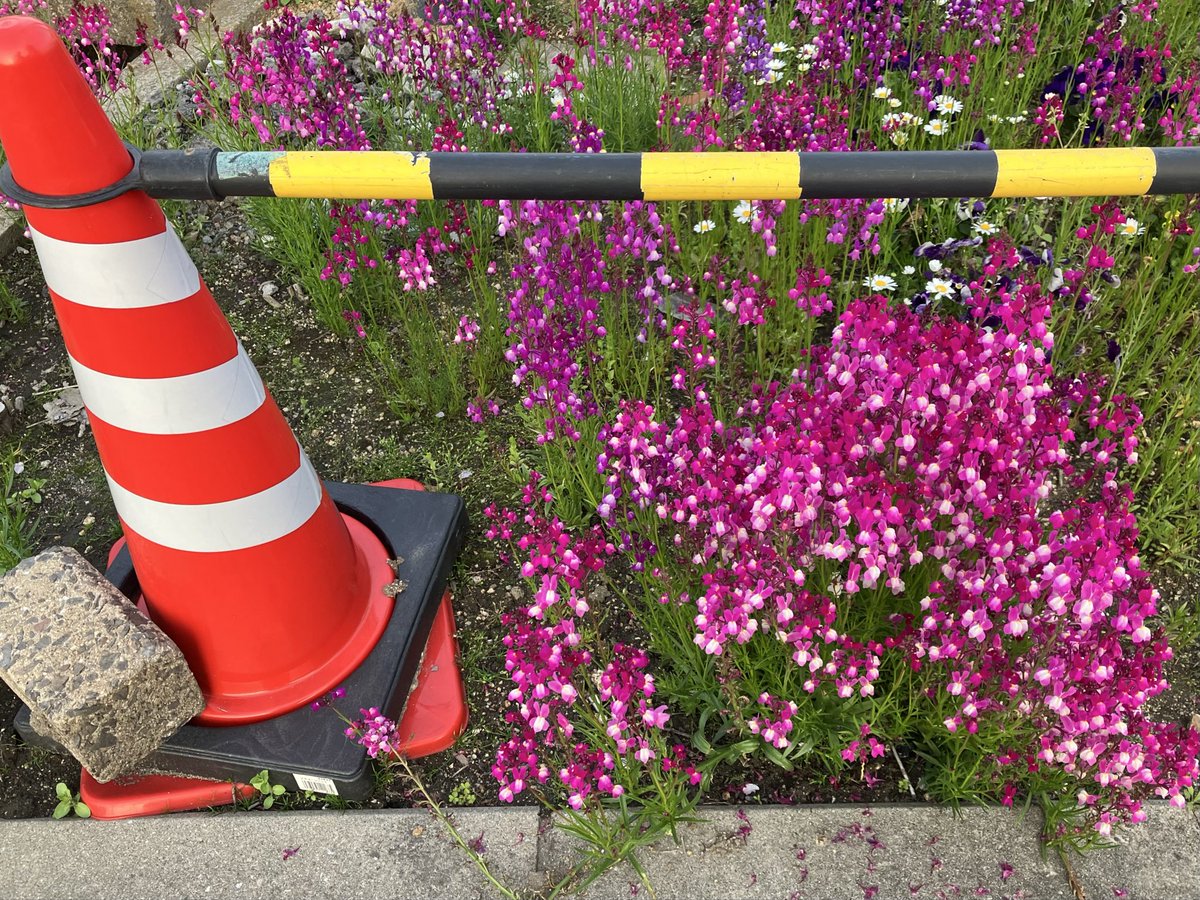 ひさ☆ tweet media