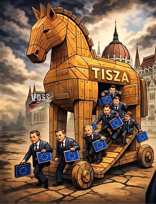 Toth Bandi tweet media