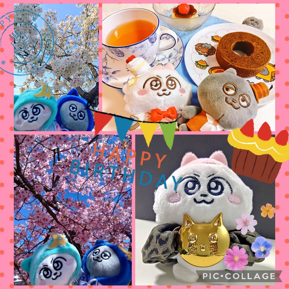 えのころ🐾 tweet media