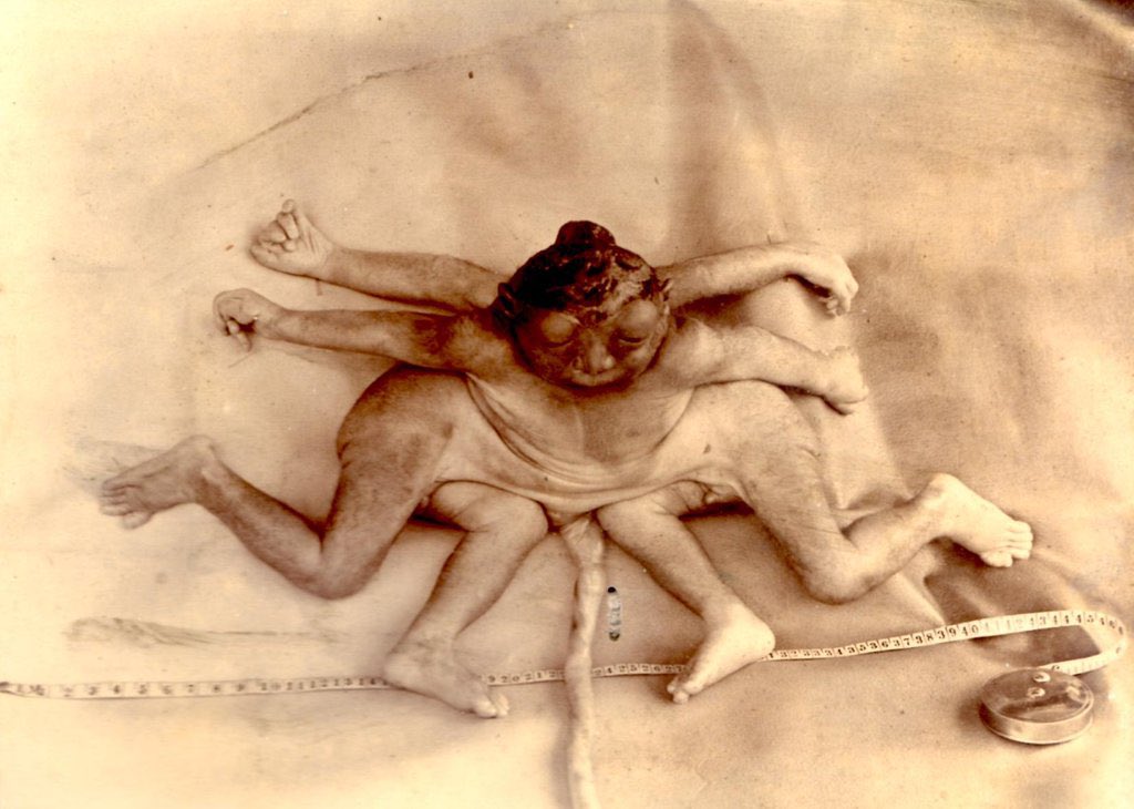 MOTHER FACTORY tweet media