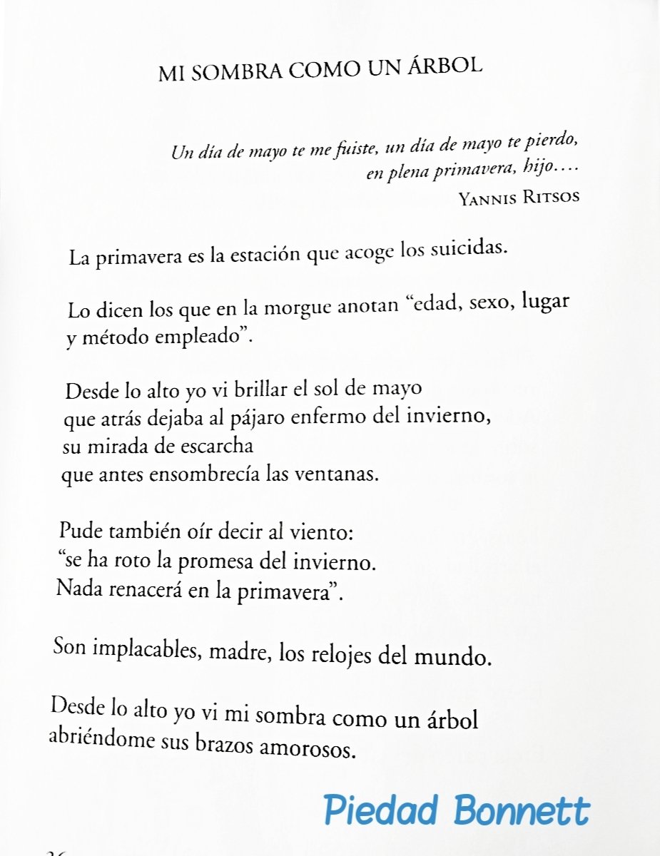 Carmelo  Traspiés (@trasonetti) on Twitter photo 