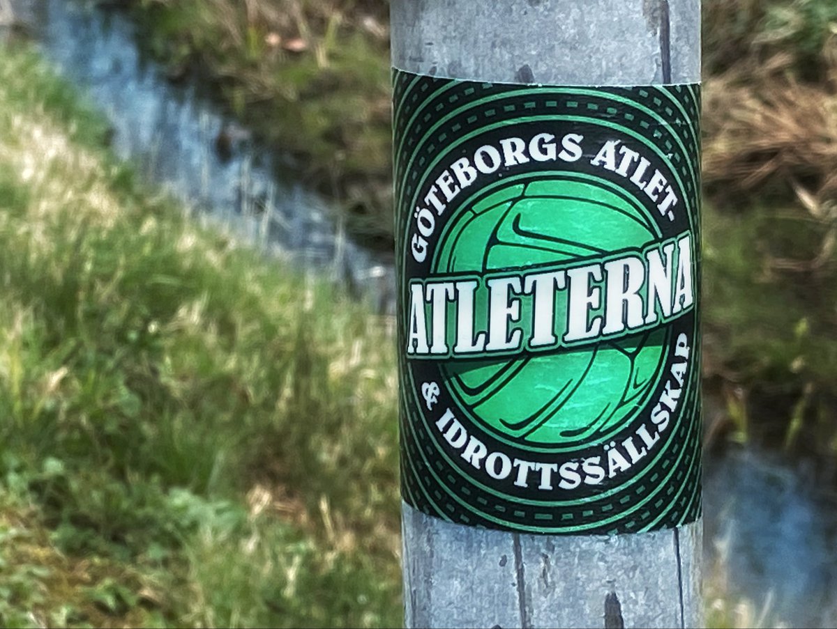 EbbeGreen's tweet photo. Man blir glad på promenad 🥰 #atleterna #grönsvart #göteborg https://t.co/NMD8osuii6