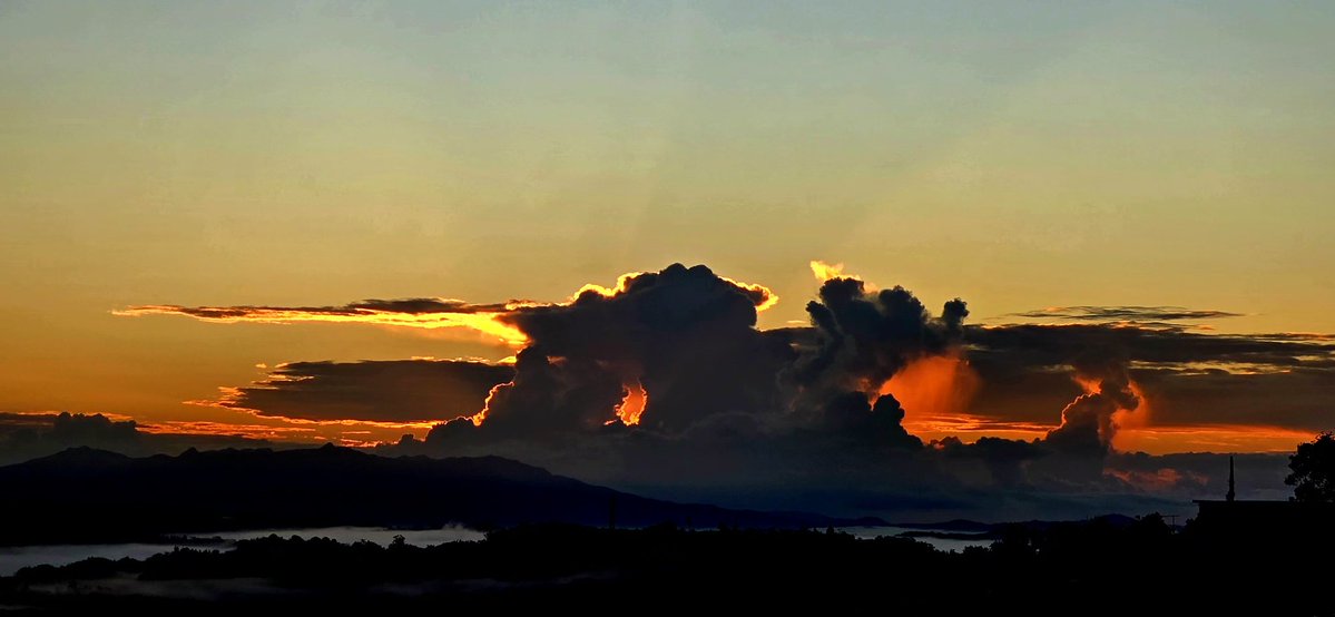 Norma Ortiz Rodriguez tweet media