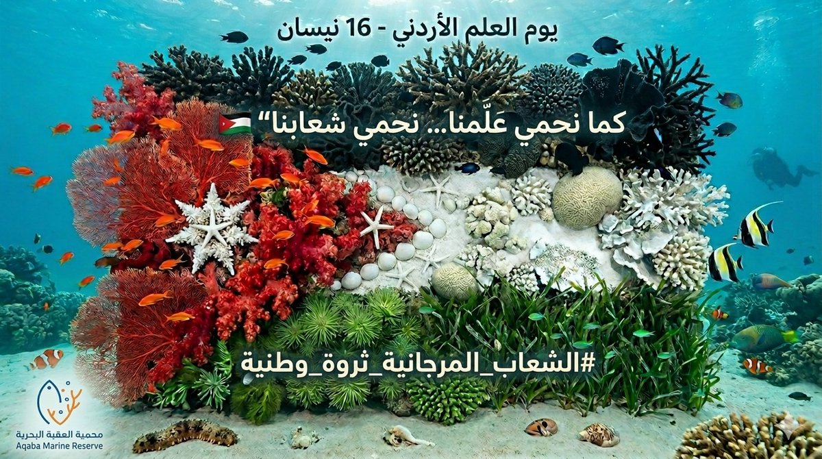 Aqaba Marine Reserve محمية العقبة البحرية tweet media