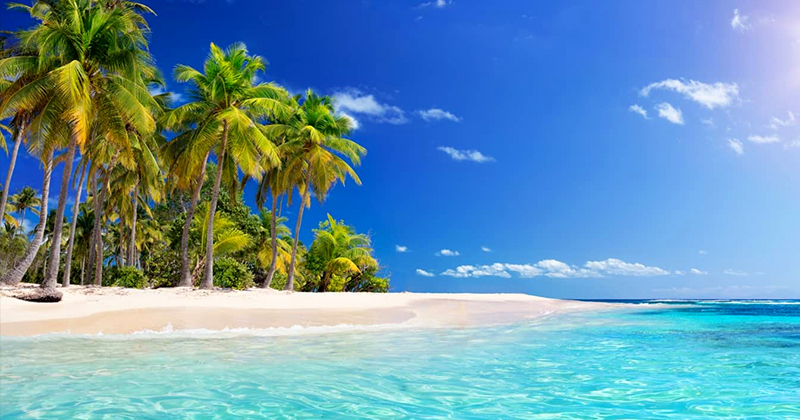 tropicalitytrvl's tweet image. Pic of the Night…Sure Thing 🏝️
tropicality.com 
#beachday #beachlife #beach