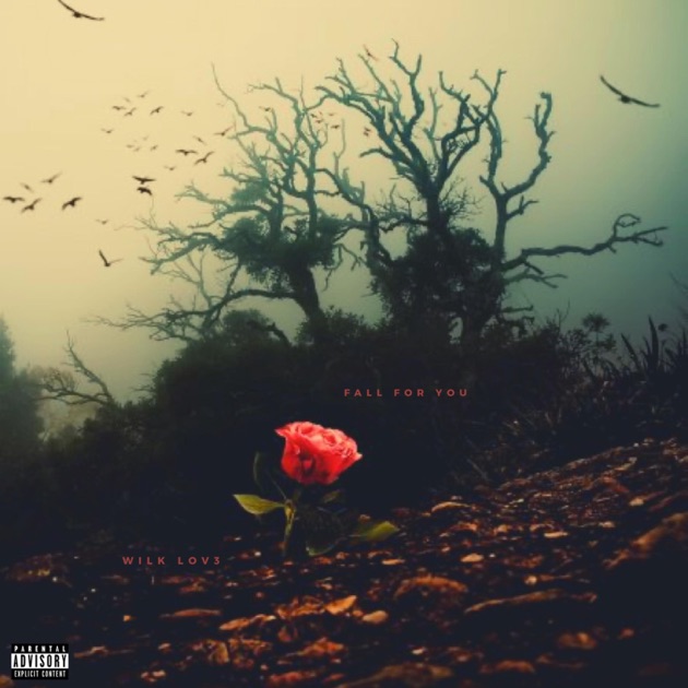 Beşiktaş Sevdalısı tweet media