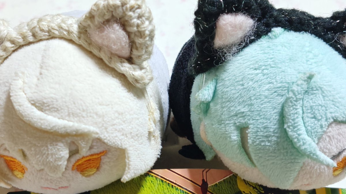 🐣ころも🐥 tweet media