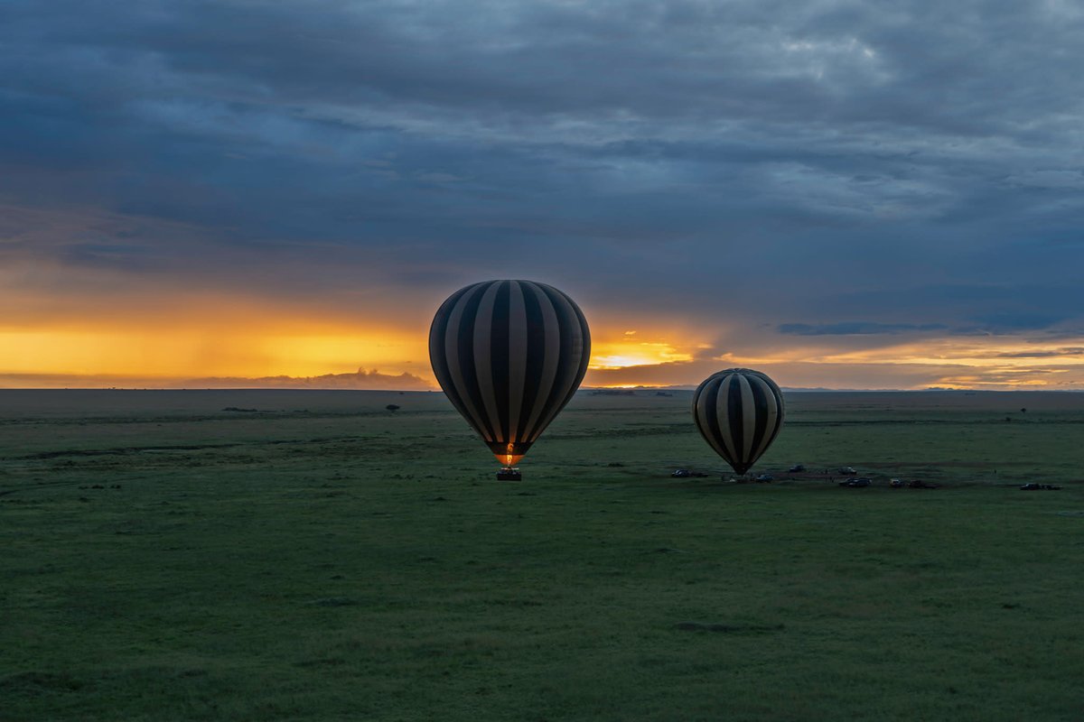 NovakAdventures's tweet image. Sunrise over the Serengeti… from a hot air balloon 🎈
Wildlife below. Champagne after.
Bucket list: confirmed.
#Safari #Serengeti #Travel