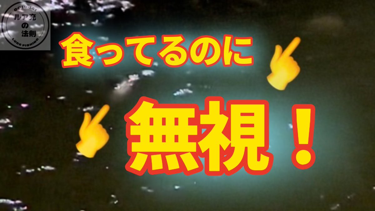 かぢゅ@ルア充の法則（改） tweet media