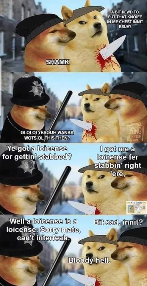 Schmidt 🇩🇪 tweet media