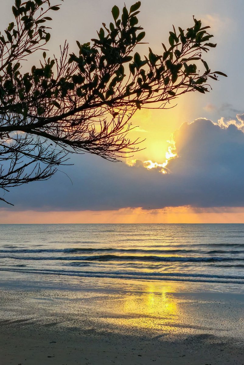 SHA~🇲🇾❤️🇹🇷 ~DM=BLOCK⛔️ tweet media