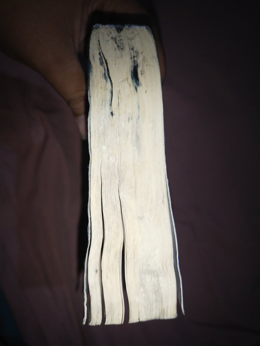 Pipuy🍀 tweet media