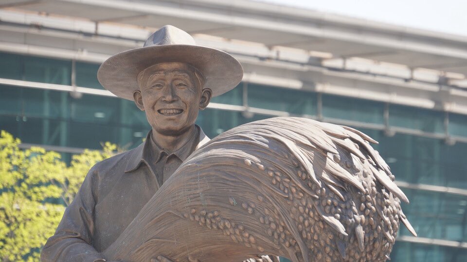 민주노총대구본부🏳️‍🌈🌹🎗️ tweet media