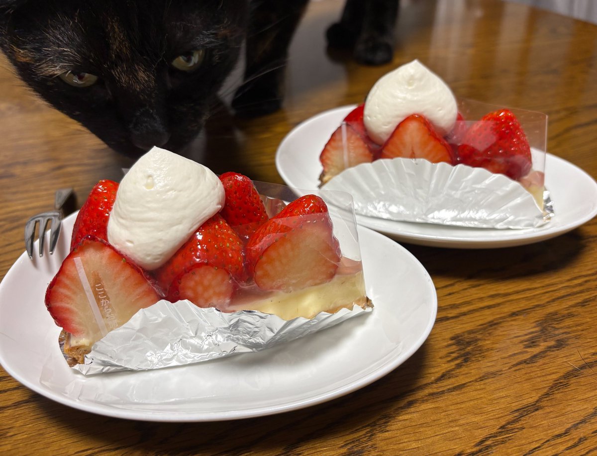 とろろ(多忙) tweet media