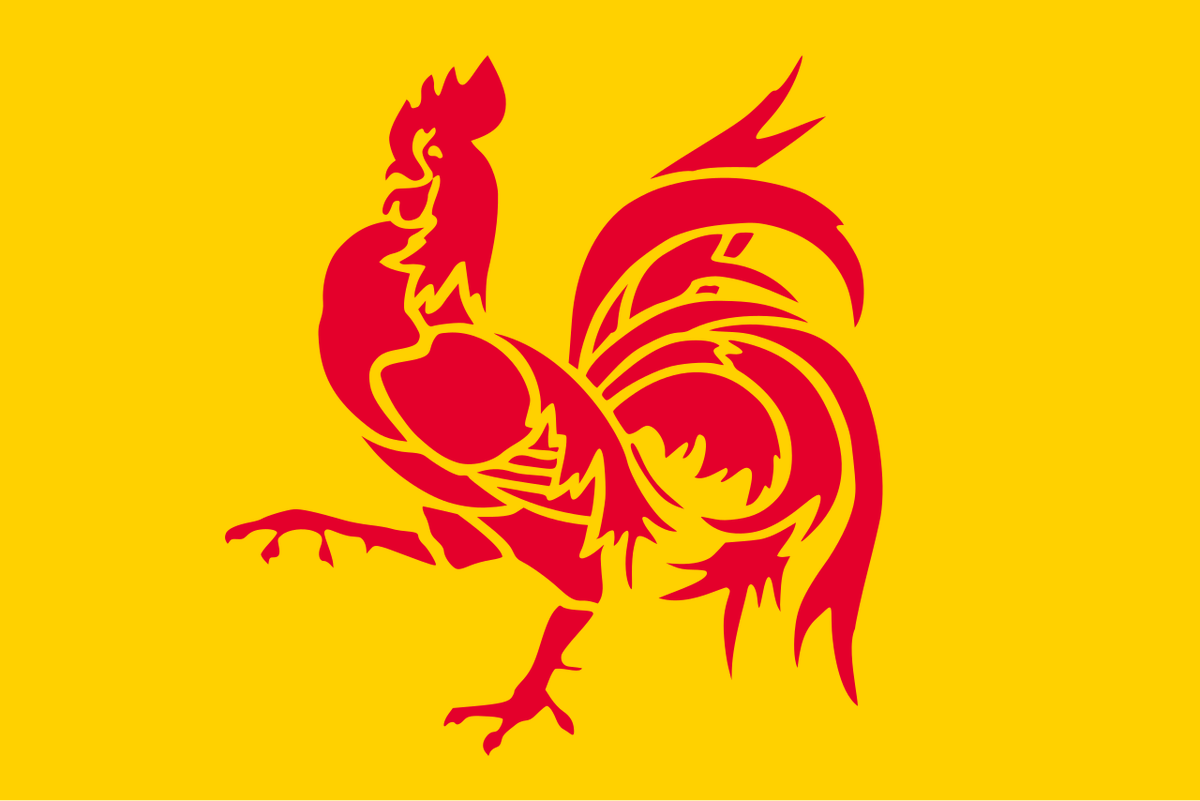 cramoukji's tweet photo. Just a quick note on the color scheme :
Though red &amp; yellow in WWE, as is the case with LA Knight, always invoke the spirit of Hulk Hogan
-
It was most of all a direct nod to the official colors of Wallonia, the southern french-speaking part of Belgium, for Dorian last night
- https://t.co/9UjO6O6Oet