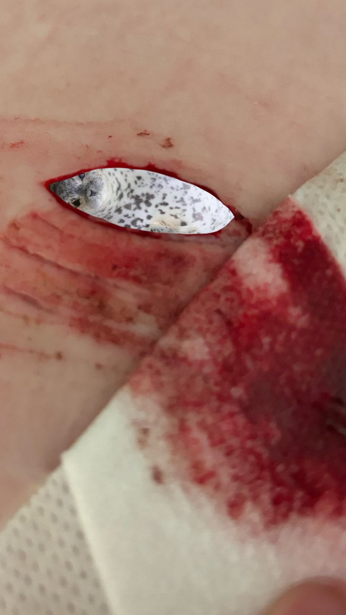 lua • shtwt 🦭🤍 tweet media