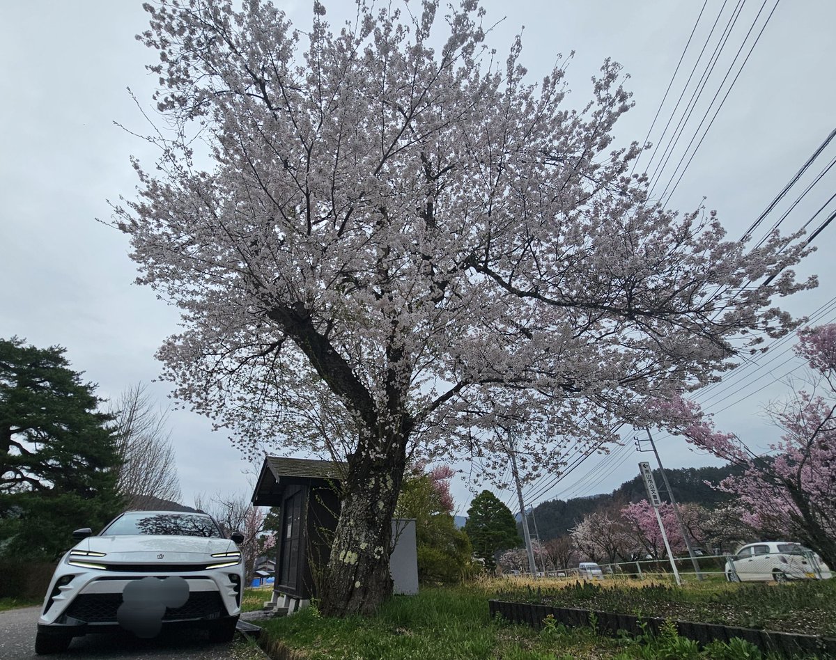 tommy1🚗⸒⸒ tweet media