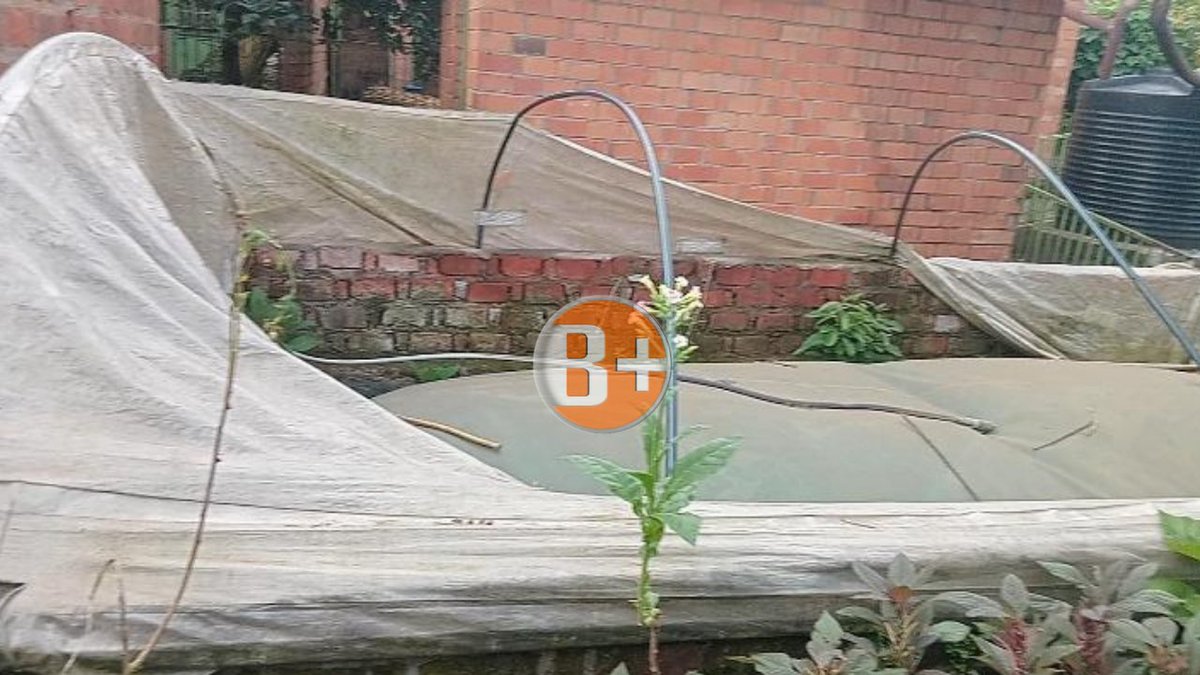 BPlus TV Rwanda tweet media