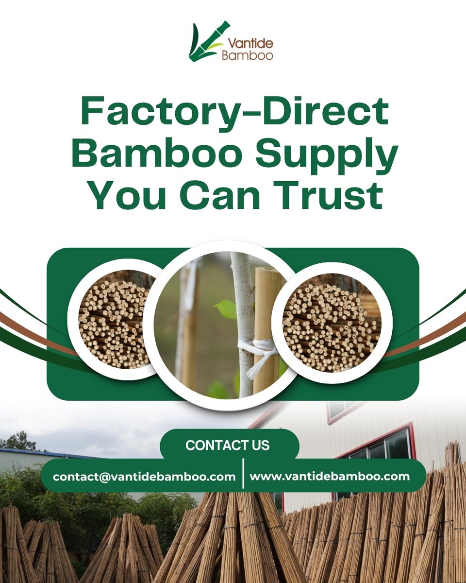 vantidebamboo's tweet image. From production to packaging, we ensure consistent quality for every bulk order.
#BambooManufacturer #FactoryDirect #BambooWholesale #ExportReady

Email: contact@vantidebamboo.com
Visit: vantidebamboo.com