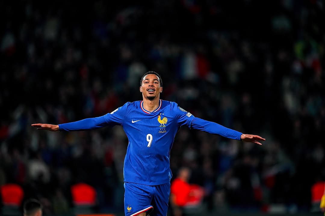 MJUKUU (Fan) tweet media