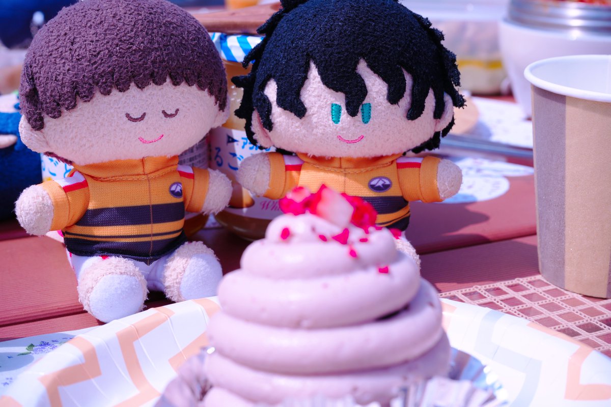 花見田ひかる🎾👑 tweet media