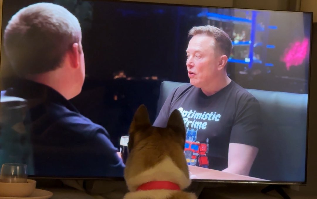 Khloebroome18's tweet image. @elonmusk doggo gaining some knowledge 🥰 

#SpaceX #Neuralink #Tesla #ElonMusk #AI