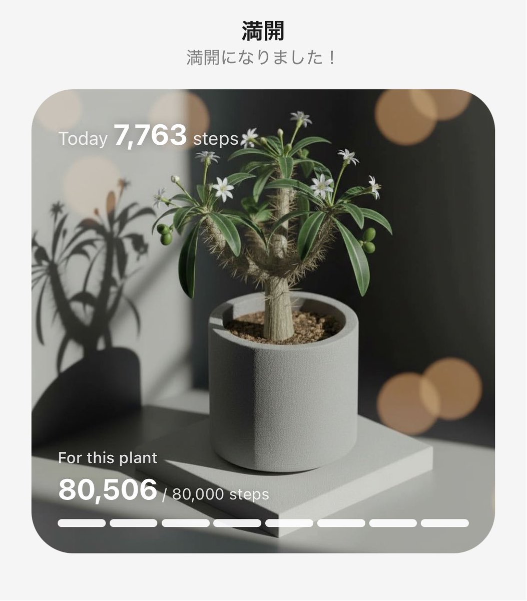 cocokamui's tweet photo. #PixelPot
歩いて植物育成中🌱 https://t.co/s7N41qRG5N