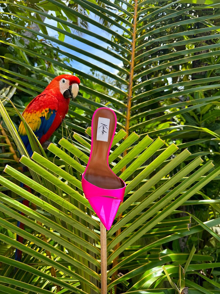 KandeeOfficial's tweet image. Tropical heat meets Kandee energy 🌴🔥 🦜 
a flash of fuchsia, a touch of the wild… made to stand out, never blend in.

🩷 kandee.co.uk/products/framb…

#icon #luxuryheels #tropicalglam #Heels #summer