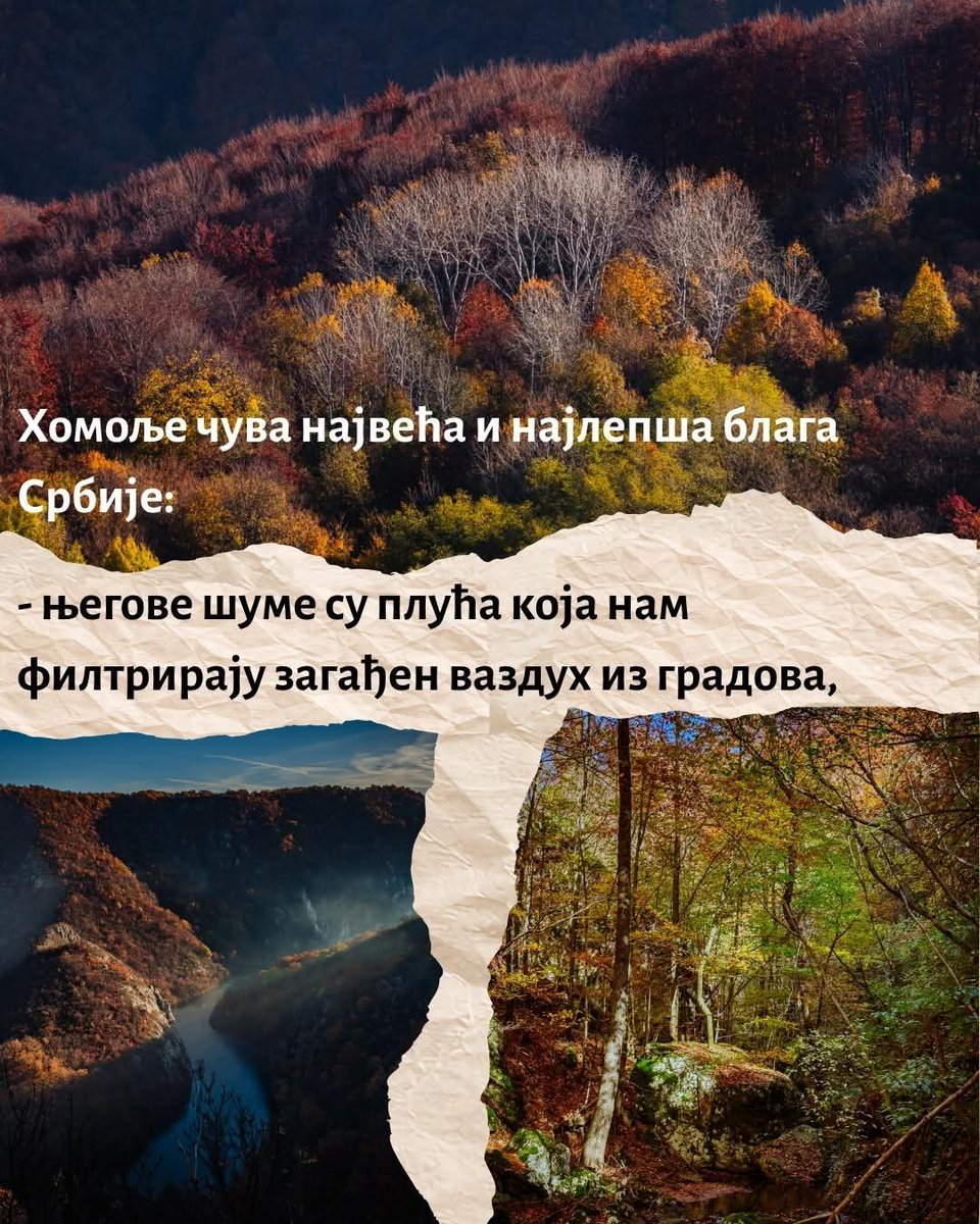 РиС Ренџери источне Србије tweet media