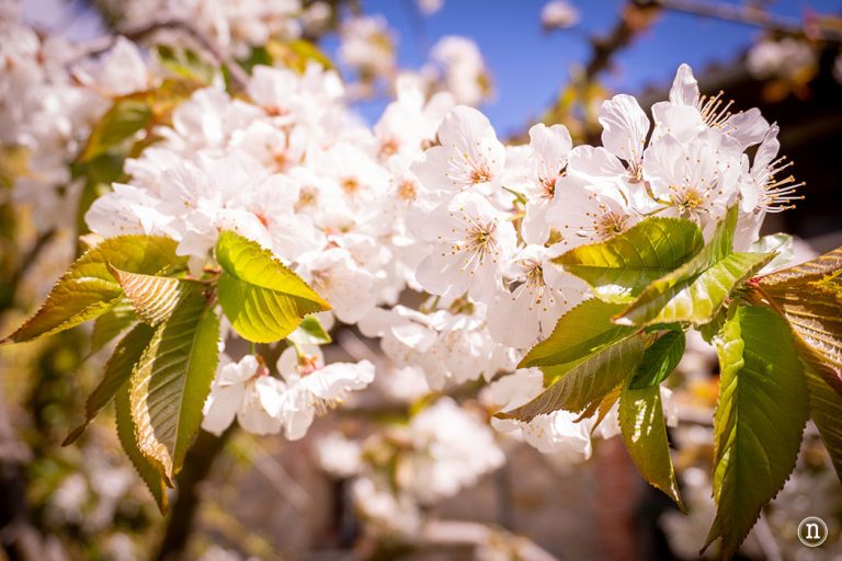 Nomadas Ocasionales tweet media
