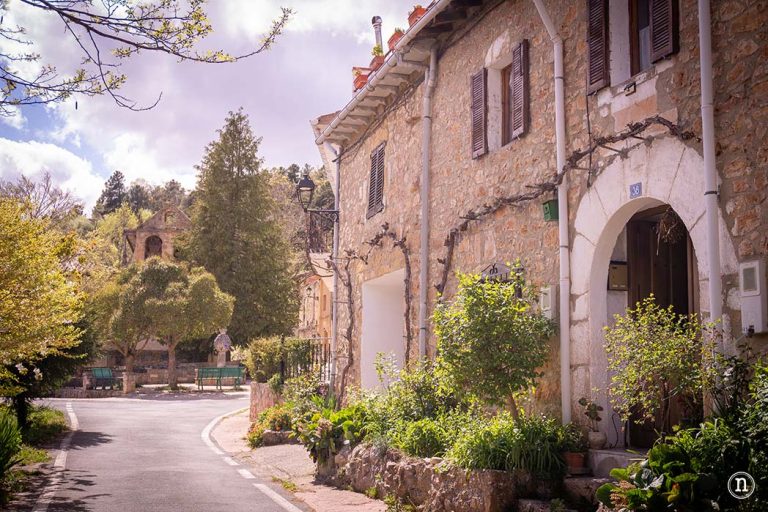 Nomadas Ocasionales tweet media