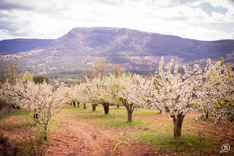 Nomadas Ocasionales tweet media