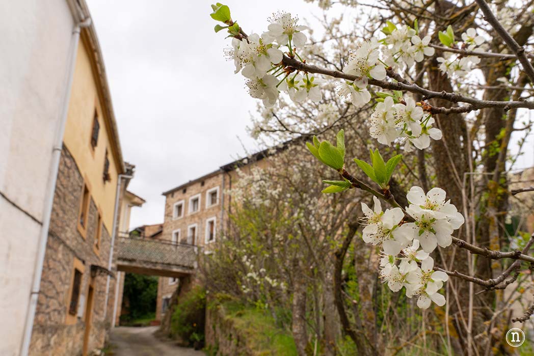 Nomadas Ocasionales tweet media