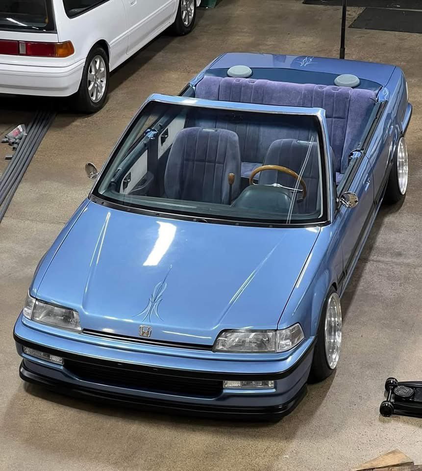 緒山ワカメ（WA-KA-ME） tweet media