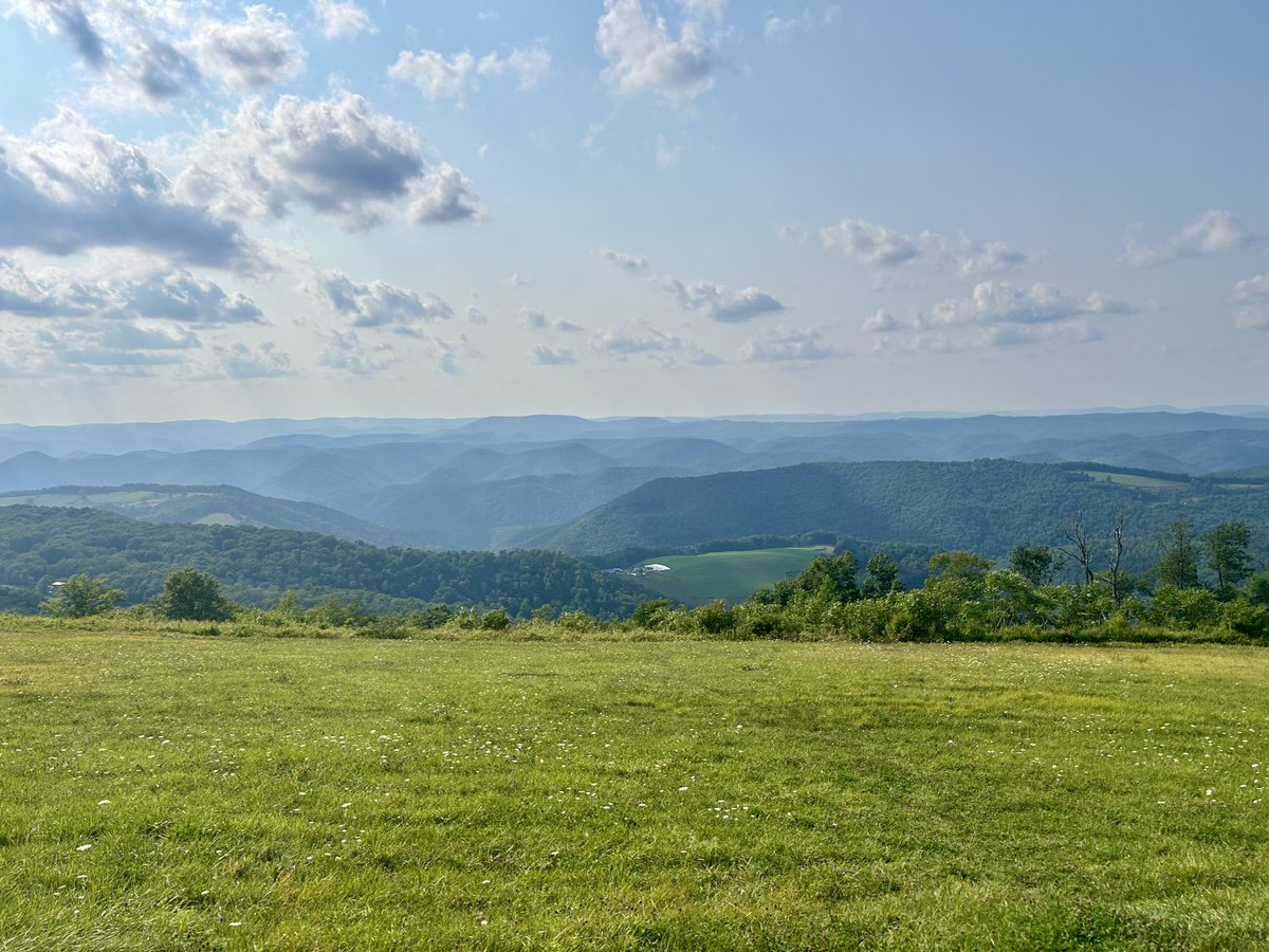 Travis Austin tweet media