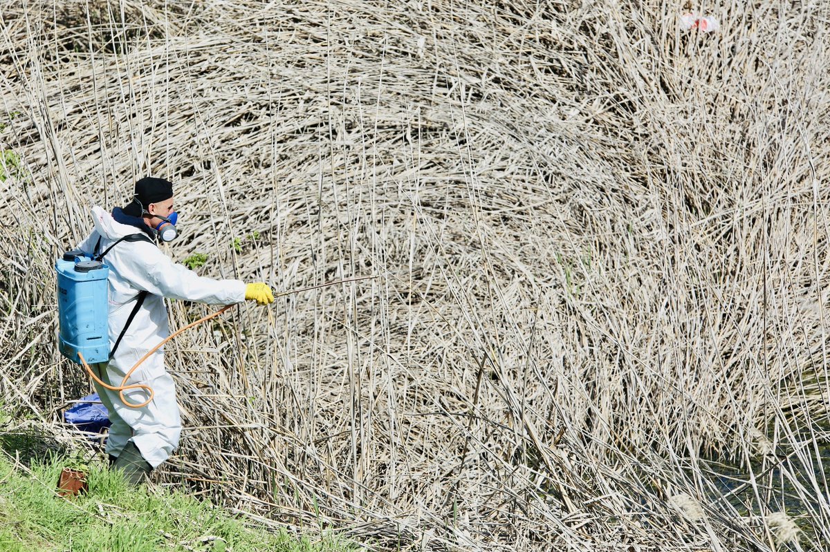 Batman Belediyesi - Şaredariya Êlihê tweet media