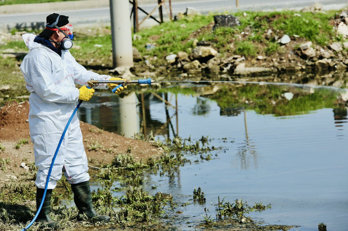 Batman Belediyesi - Şaredariya Êlihê tweet media